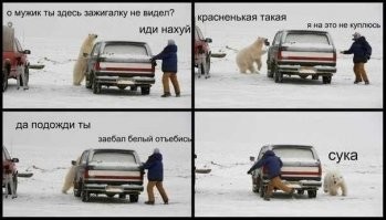 Вот именно такие собаки и дали возможность людям стать современным видом