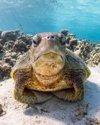 Ты с какого болота, фраер?