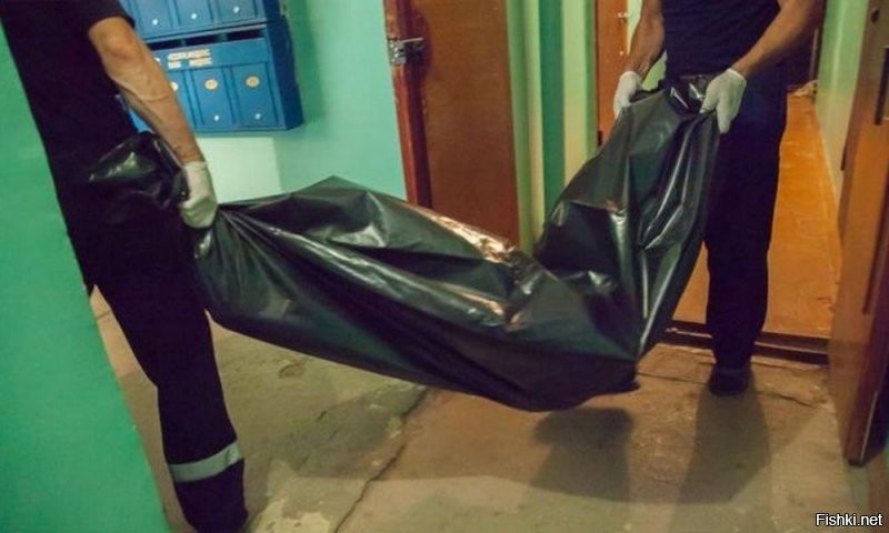 а могли и так упаковать...