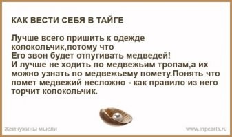 Вот именно такие собаки и дали возможность людям стать современным видом