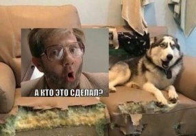 Фотоподборка