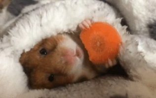 Вот оно, счастье!