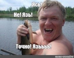 Удивительный город в Японии, где в водосточных каналах плавают прекрасные карпы кои