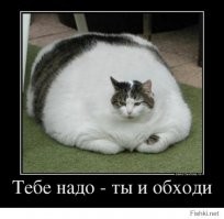 Смешные и познавательные картинки