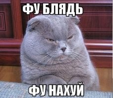 BLM поздравили негров с днём рождения Мартина Лютера Кинга-младшего тверком 