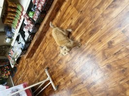 В Амстердаме сфотографировал.