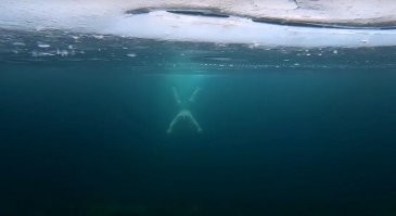 «Ледовое побоище глазами немцев»
простите не удержался....