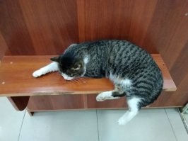 магазинчик в моем доме, наш - бузыкин...