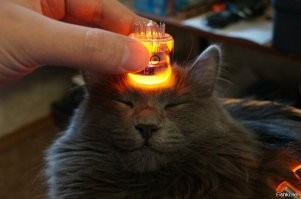 "Ничего. Проехали": девушка довела своего парня