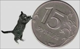 Однако люди, назначившие Онурова ответственным за совершение теракта в России, не учли один факт - высокопрофессиональную работу сотрудников правоохранительных органов России, которые меньше чем за месяц выявили и обезвредили террориста....   ну это перебор... киргиза даже жалко ( если это не вымешленный персонаж).