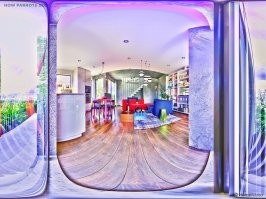 Попугай, похоже, на ЛСД сидит