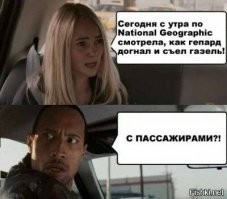 Не ищите здесь смысл. Здесь в основном маразм