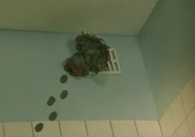 20+ таинственно оставленных следов, которые заинтриговали тех, кто их увидел