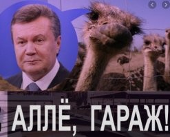 Э,а где страусы???!!!