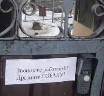 Когнитивный диссонанс: некоторые ситуации в голове не укладываются