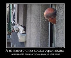 А из нашего окна... 