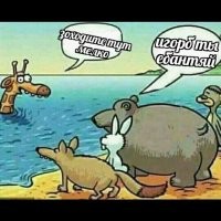 Дошло как до жирафа... полжизни спустя