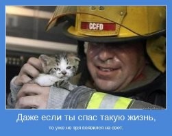 Надо макнуть тебя в прорубь и подержать в ней 5 минут смелости, а потом достать и заставить минут 10, безопасных для жизни, постоять на морозе. Легко говорить сидя в удобном кресле, в теплой комнате, с горячим чайком.
А на таких людях, и мальчиках неравнодушных, и мужике смелом весь мир ещё пока держится.
Жаль 100 минусов не дает тебе влепить, чтобы все твои поганые высеры скрылись.