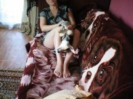 Первые два фото Нора моя странная собачуня. Остальные Леди. Она могла спать в самых загадочных позах, но если была подушка, покрывало или нечто такое, то устраивалась непременно сверху. Просто принцесса на горошине. К сожалению уже больше года как ушла на радугу.