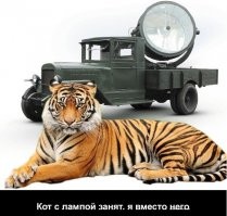 "Ничего. Проехали": девушка довела своего парня