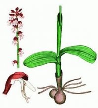 Хороши кувшинчики ....