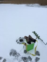 В этом году голяк на льду не знаю почему . Я в один момент когда оглянулся понял что я столько лунок нарезал что там могли бы 40 человек сидеть :)