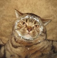 еще пять копеек...