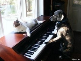 Пост о дружбе