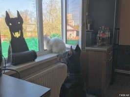 Пост о дружбе