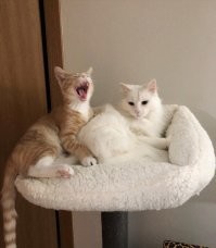 Всегда приветствую.

.