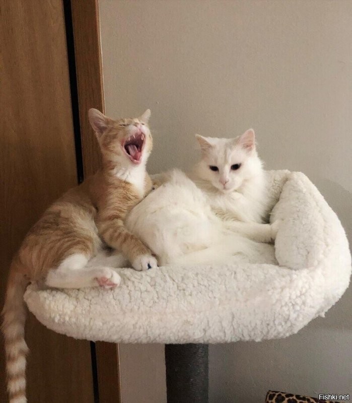 Всегда приветствую.

.