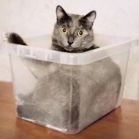 Часть наших любимых хвостов :)