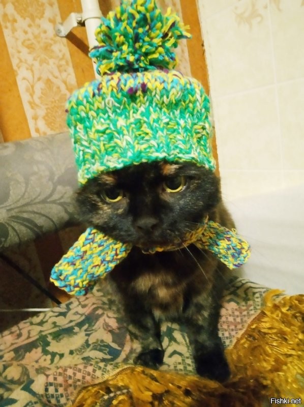 Не только шапочку, но и шарфик )))