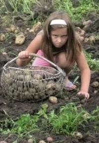 Парень решил не есть ничего, кроме картошки