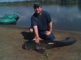 В центре Парижа поймали гигантского сома