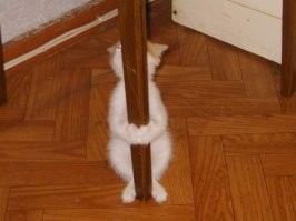 Я ващще здесь не причем...