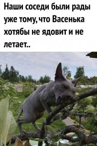 Фотоподборка