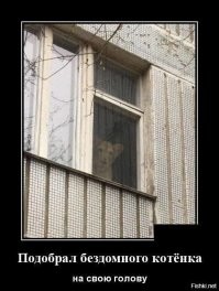 Образ кошки в демотиваторах