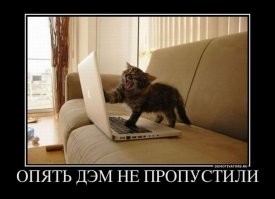 Люблю кошек и люблю демотиваторы, но согласен с вами - тут далеко не самые остроумные демотиваторы.
Спасибо за конструктивнуюи критику.

.