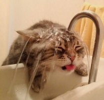 Эти две фотографии надо было в таком порядке расположить: