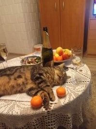 Эти две фотографии надо было в таком порядке расположить: