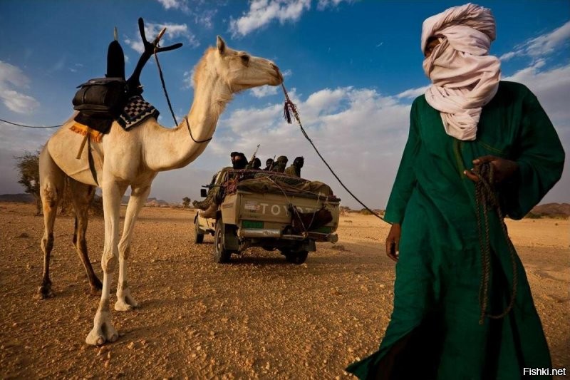 Воинственные североафриканские туареги. А это просто немецкая телега...