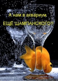 Шампанское? к рыбке? 
одно из двух: или леди незнакома с этикетом или там подбухивают даже рыбки
----------------
по факту: совсем <span style='color:gray'>[мат]</span>ла