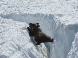 Есть такое место - Бечивинка (бухта Финвал). Как то попросил знакомого перевести на лодке на другой берег т договорились о времени, когда он меня заберёт - 9 вечера в тот же день. А он перепутал и решил что я имел в виду 9 утра следующего дня, как он потом сказал.
В общем мне пришлось около 10 км тащиться вокруг бухты пешком... а там ведмеди ходят иногда... За 6-7 часов добрался домой, в 4 утра. могло всё быть намного хуже.
Уточняйте время с точностью до минут, записывайте и делайте зарубки.