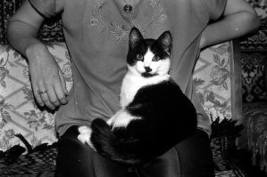 Бечивинка (Финвал) на Камчатке 1994-1995