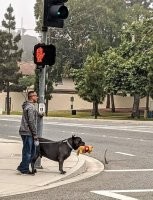 Отобрали у ребенка игрушку ))