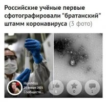 Братанский вирус )
Держитесь братаны, не болейте ))))))