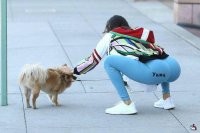 Архитектурный советский мем "Ушац": мем был, а интернета не было