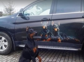 Рисунок на Лексусе