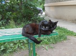 Мы с бро заценили!